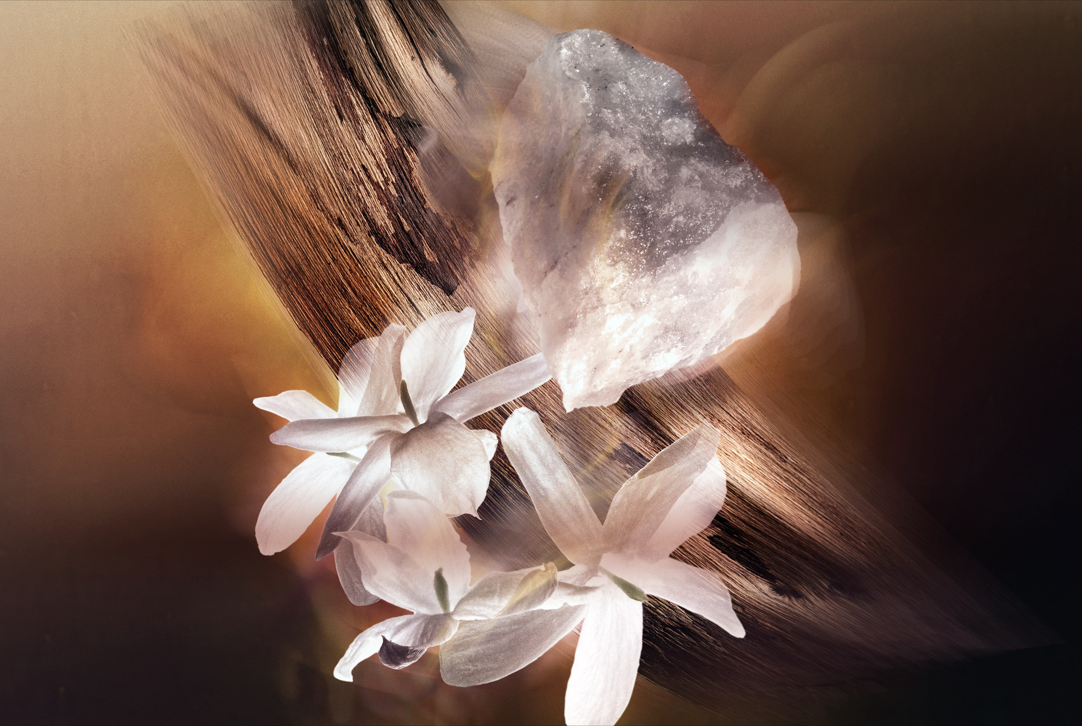 GAULTIER 2 V4 fond seul_0 (4)-min-recropped.png